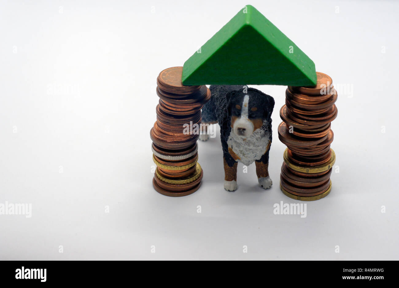 dog in own house based on stack of coins Stock Photo