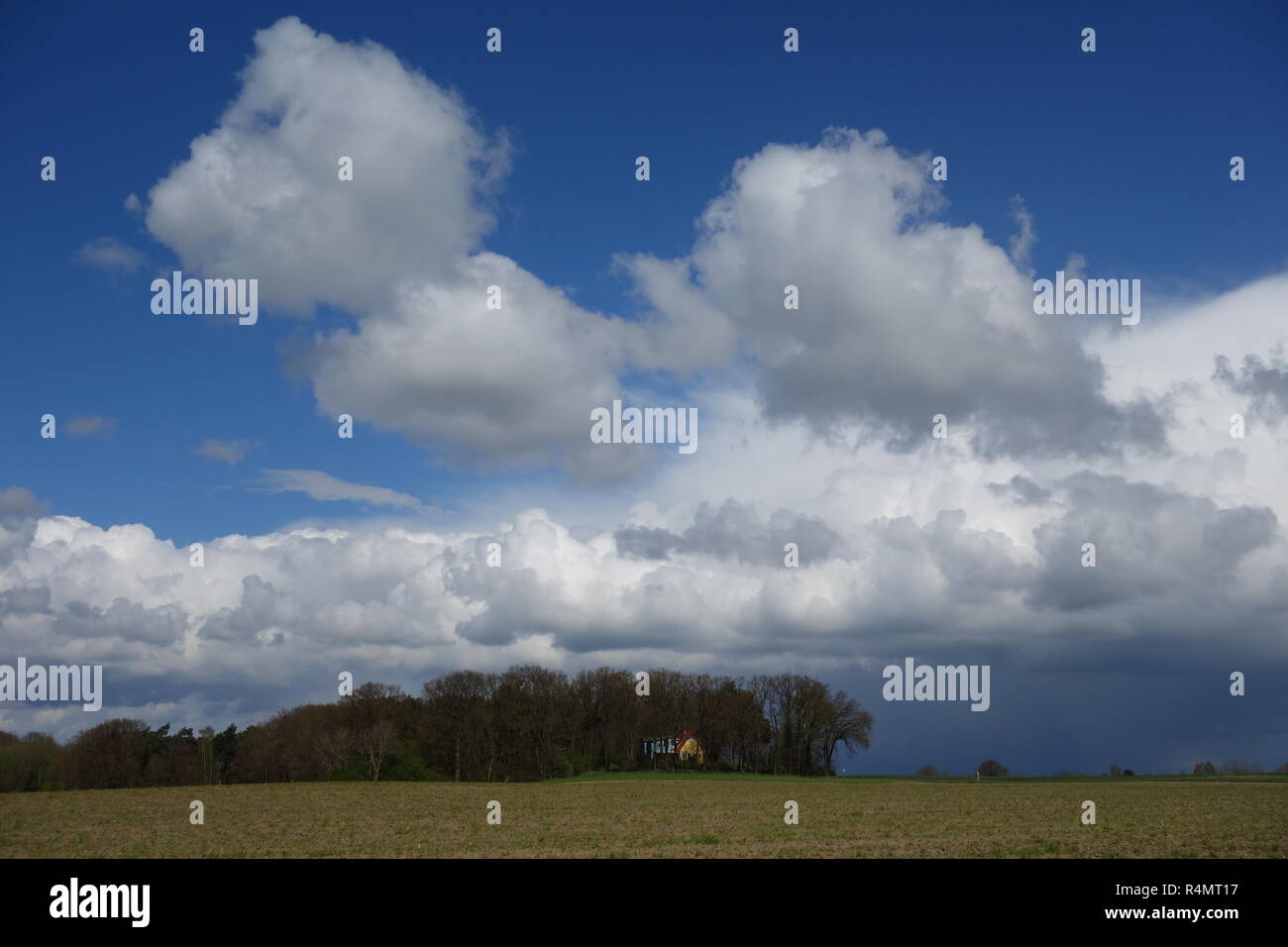 living at the forest Stock Photo - Alamy