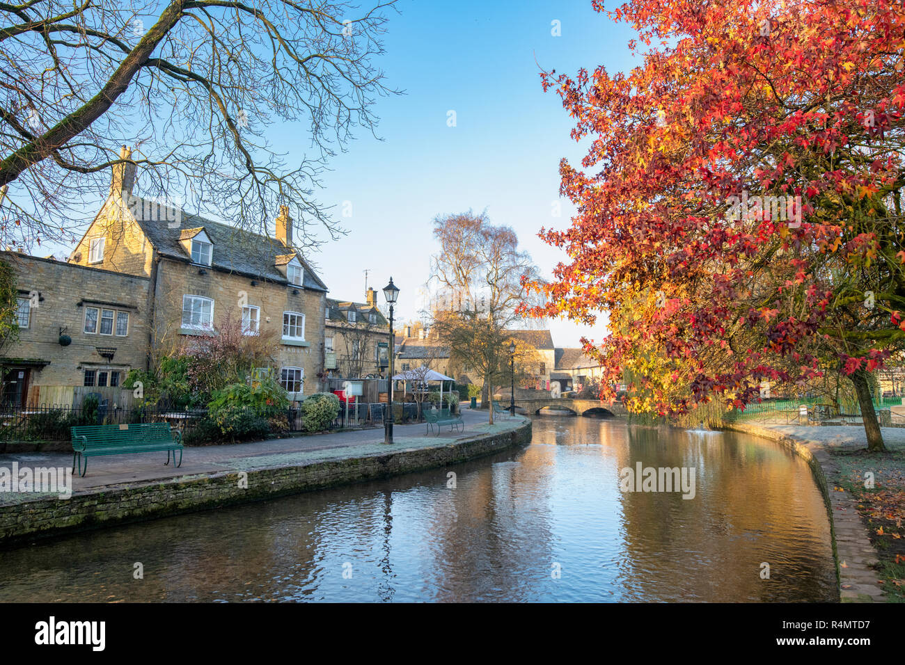 Autumn Trees Bourton on the Water Cotswolds Gloucestershire Photograph Picture