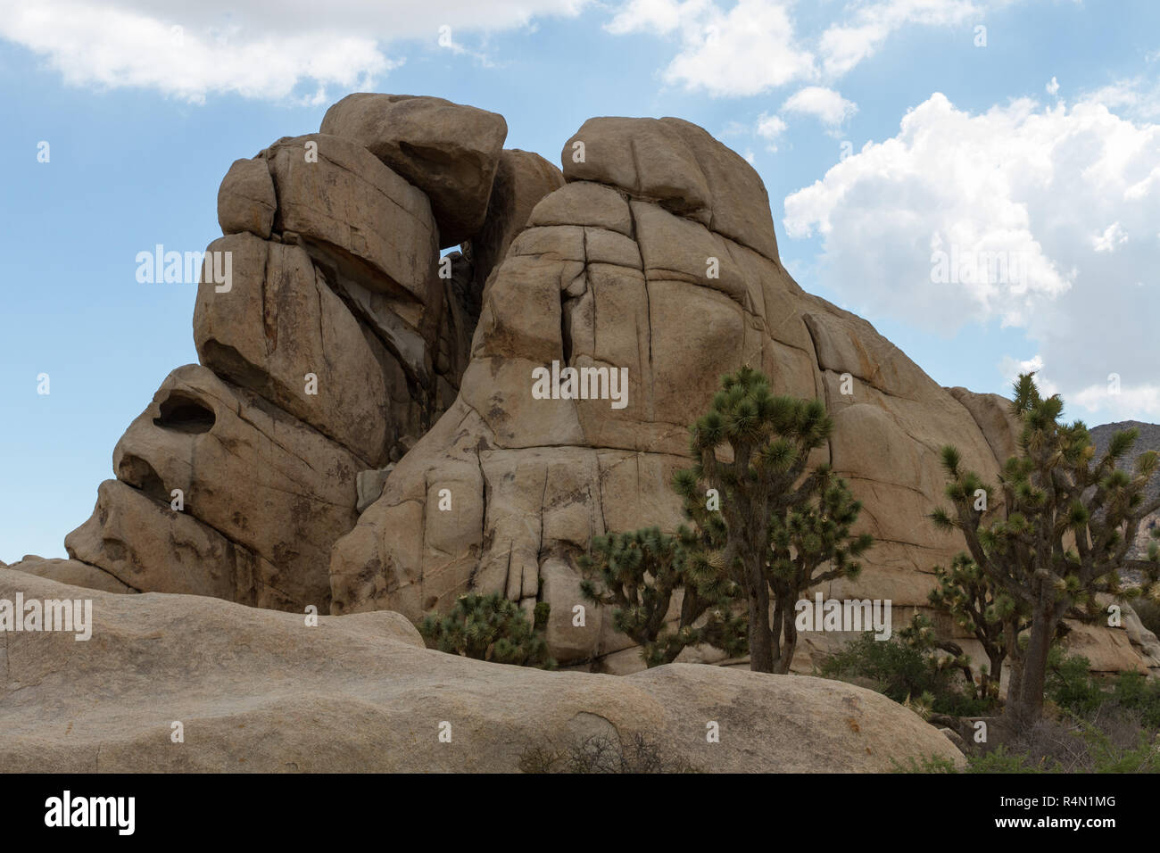 Joshua Tree NP 18 Stock Photo