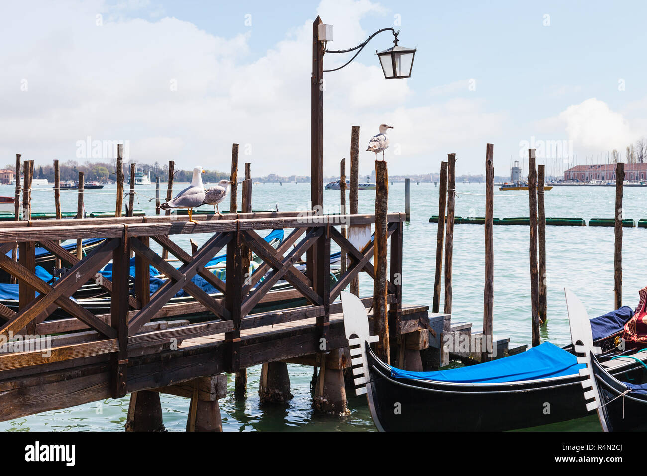 Gulls and gondolas in Venetian lagoon Stock Photo - Alamy