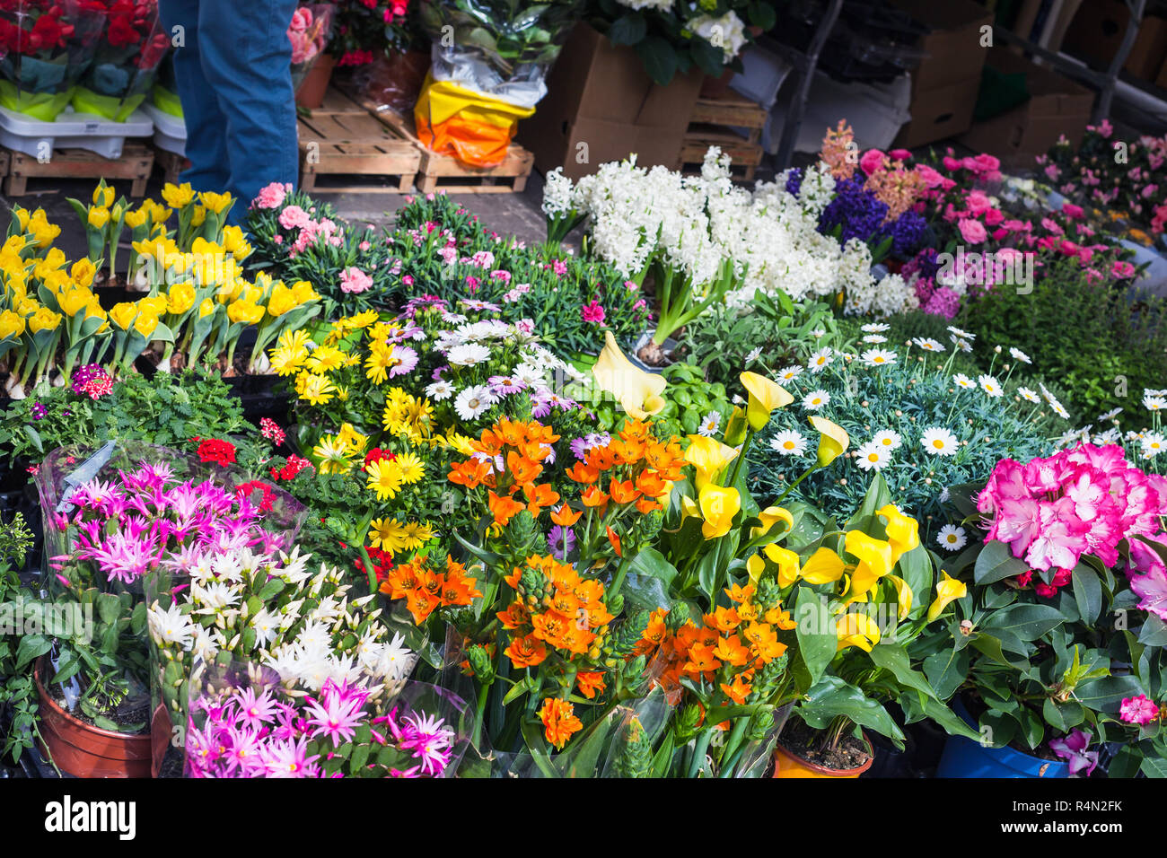 Flower Shop On Street In Padua City In Spring Stock Photo