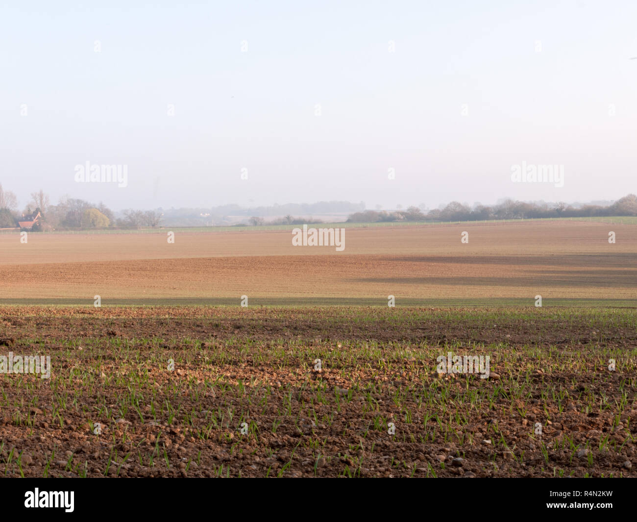 Quartz fields hi-res stock photography and images - Alamy
