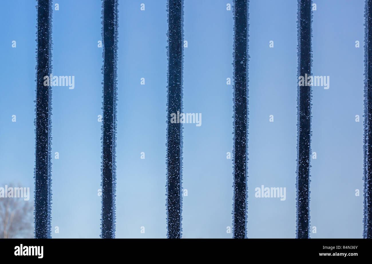 Frozen fence. Snow on a cold fence. Winter picture. Iron fence Stock ...