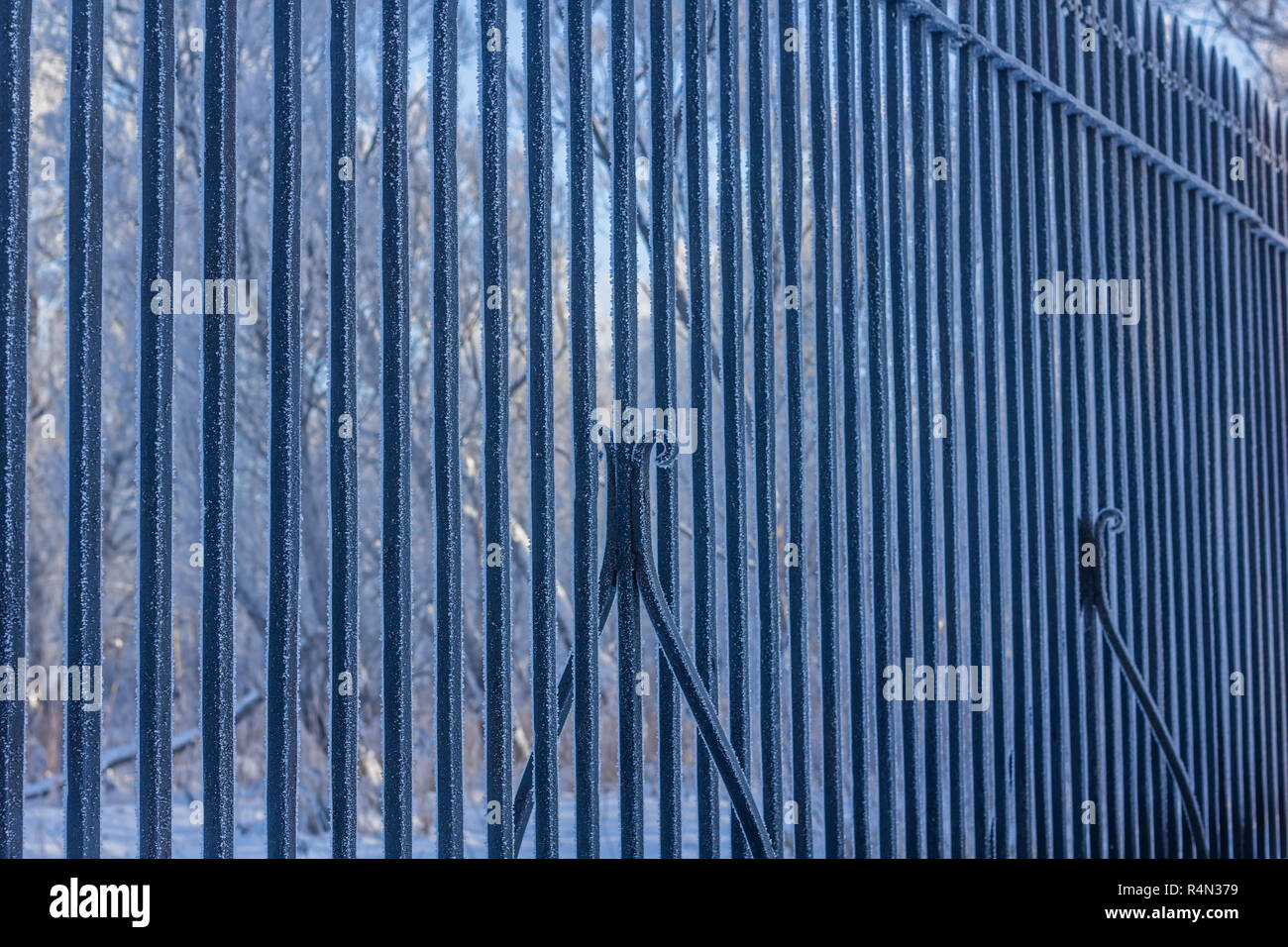 Frozen fence. Snow on a cold fence. Winter picture. Iron fence Stock ...