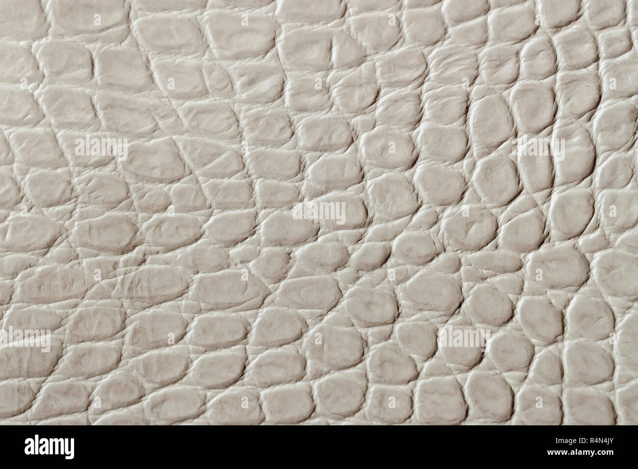Texture of genuine patent leather close-up, embossed under the skin ...