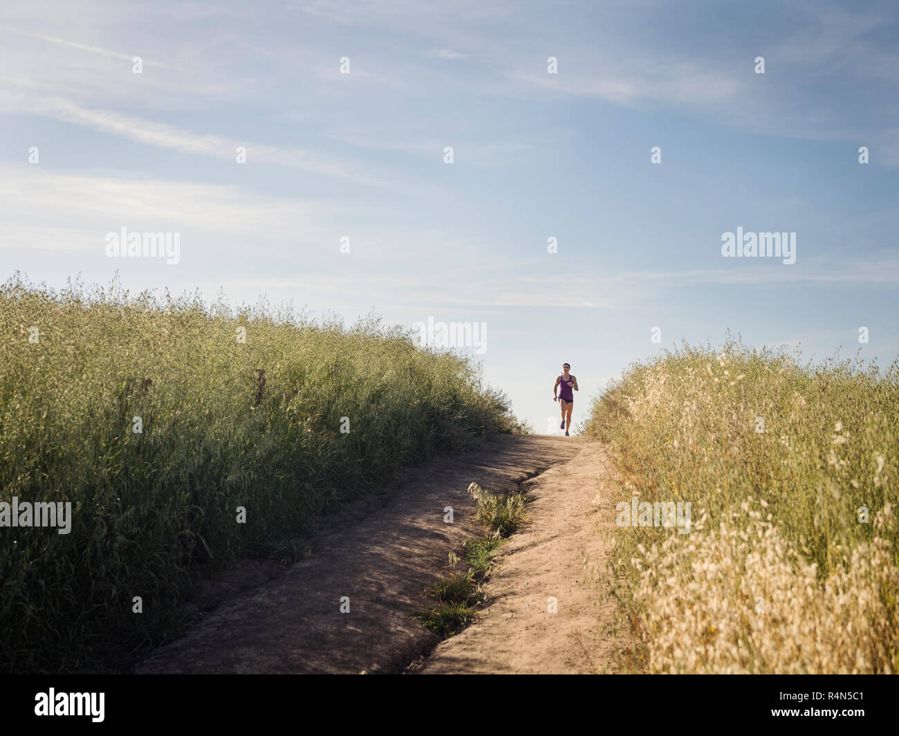 Woman jogging on path through field Stock Photo