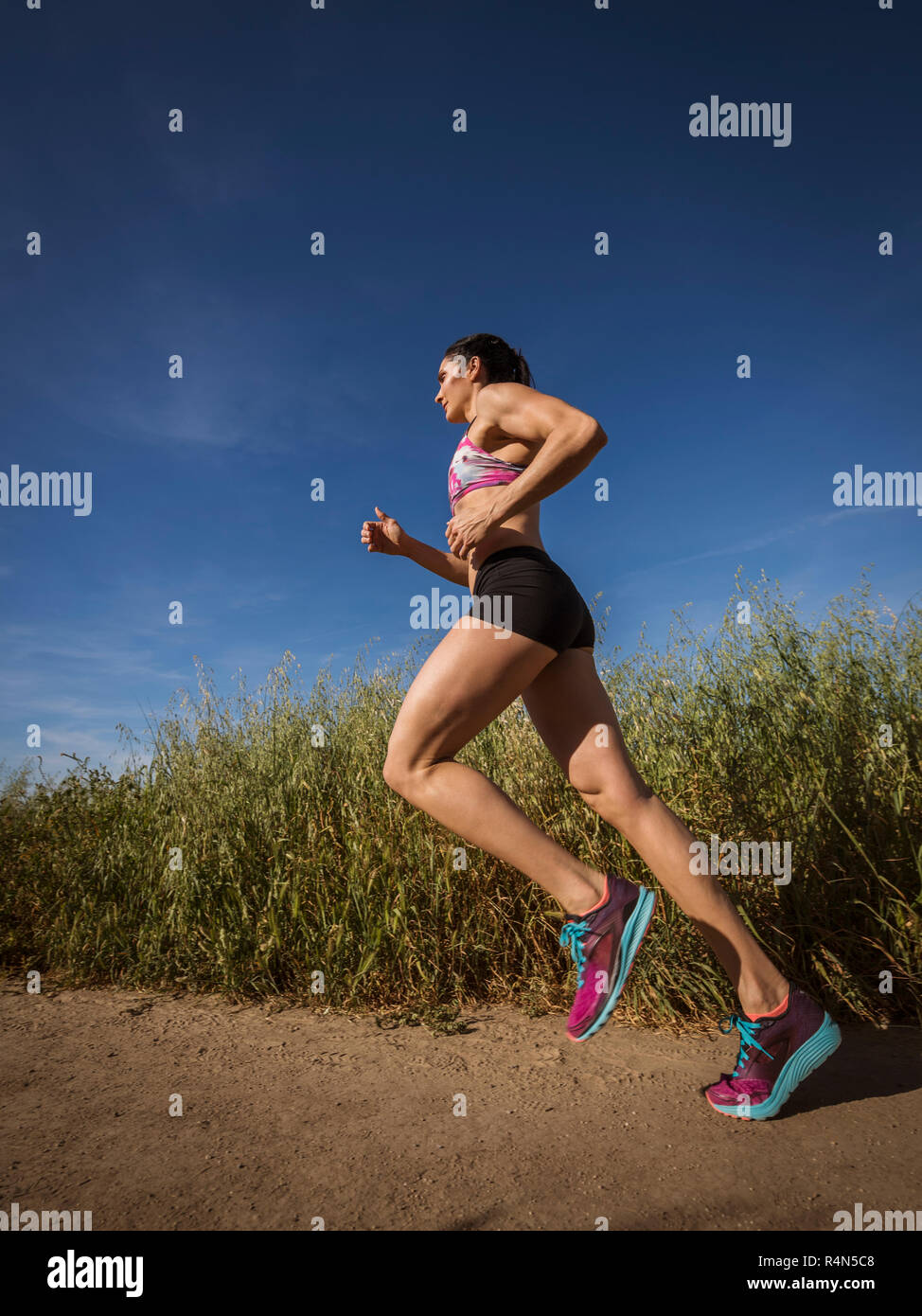 Mid adult woman jogging on path through field Stock Photo
