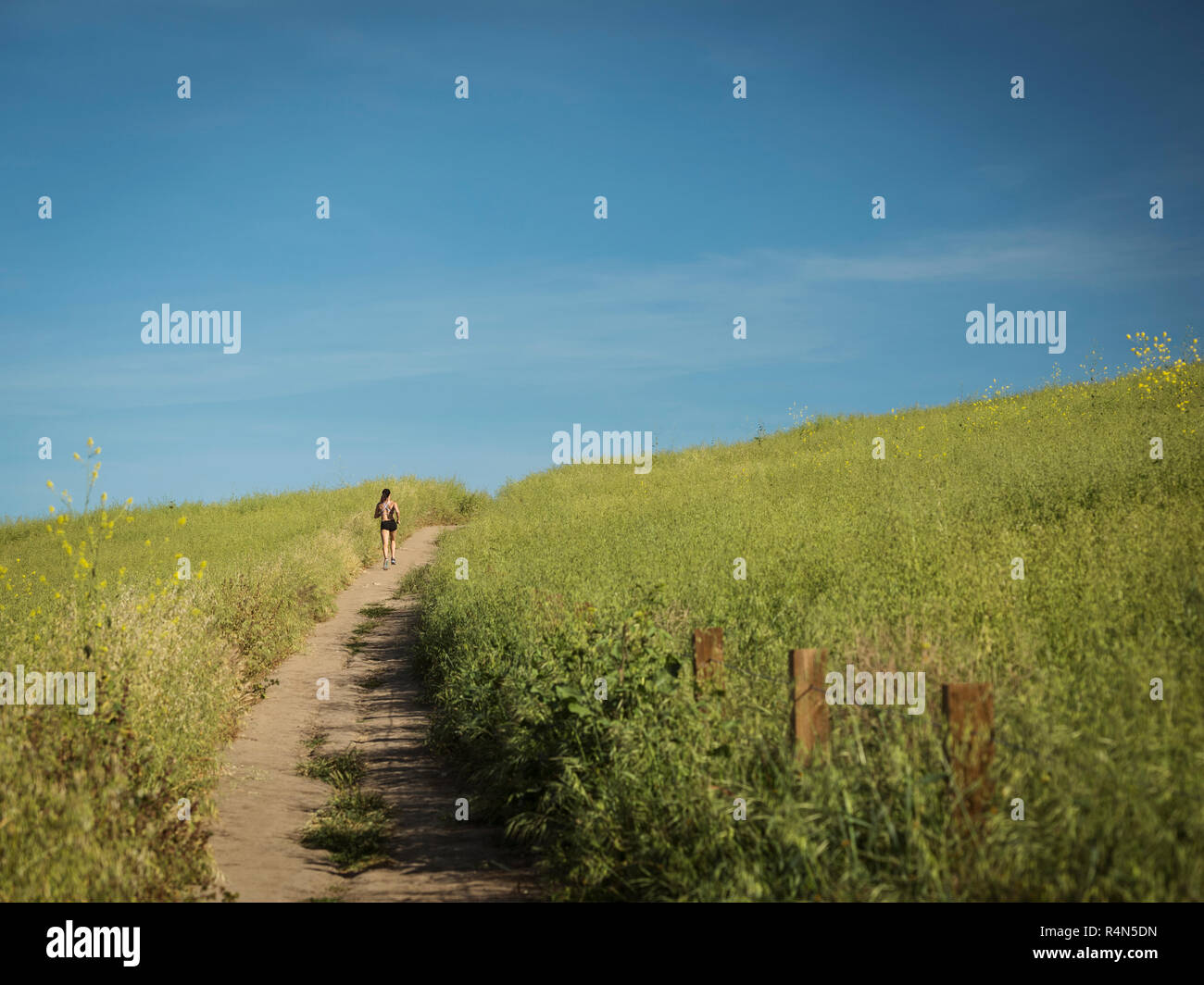 Woman jogging on path through field Stock Photo