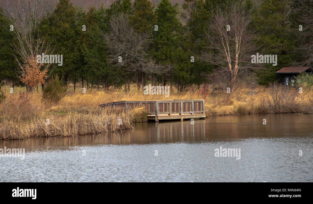 Tall brown grasses blow in the wind by a pond and lookout station on a cold day in Loudon Virginia. Stock Photo