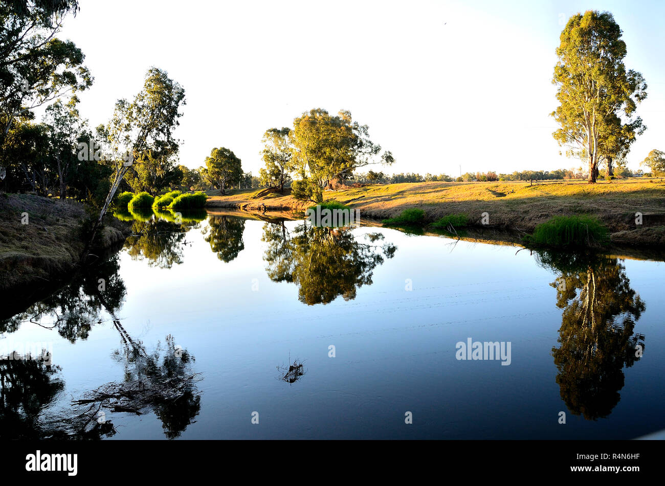 Trees water reflection on a river Stock Photo