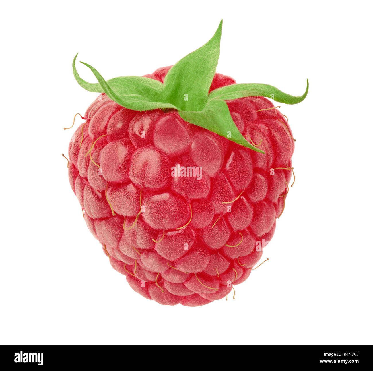 Ripe raspberry isolated Stock Photo - Alamy