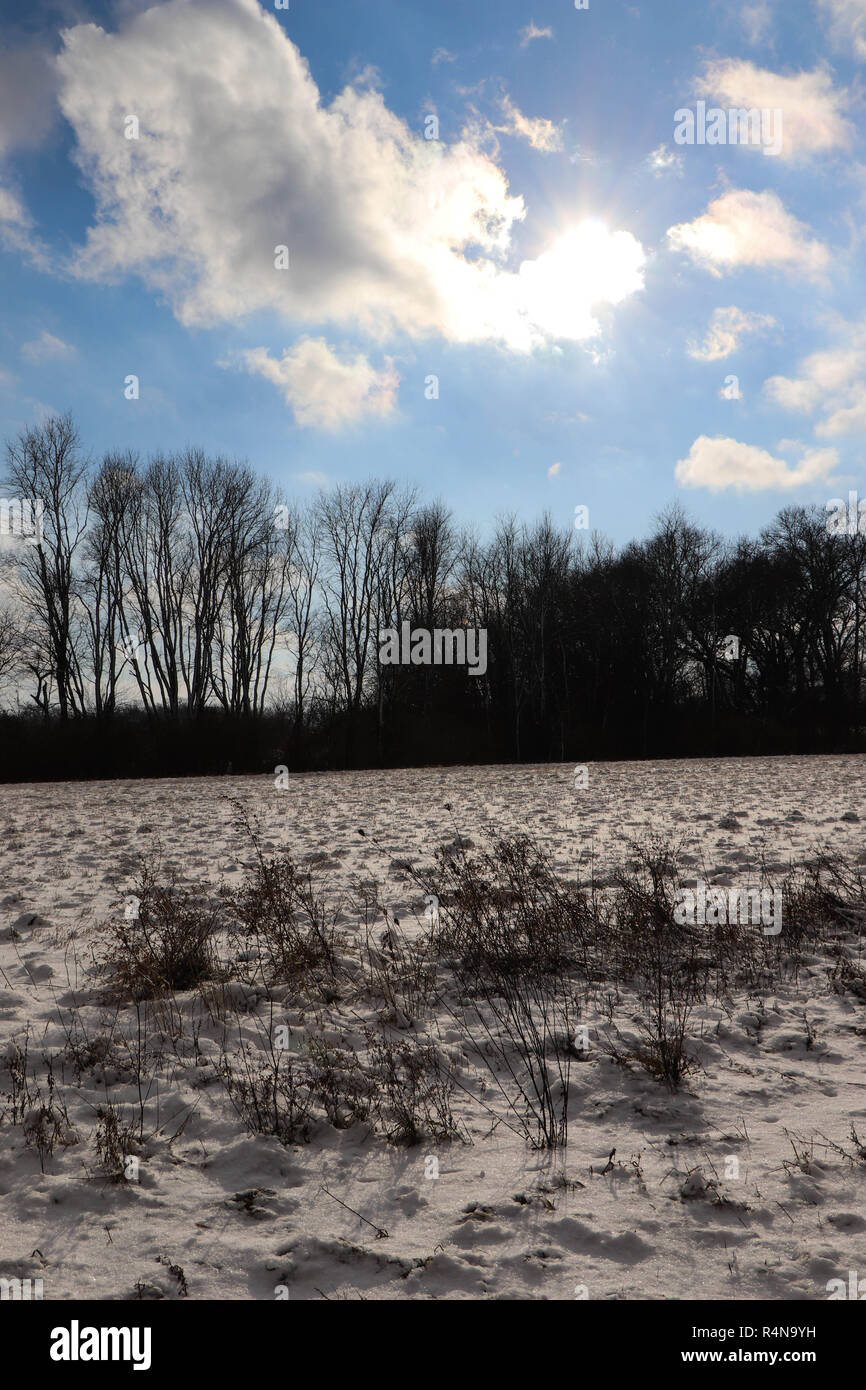 Winter landscape scene Stock Photo - Alamy