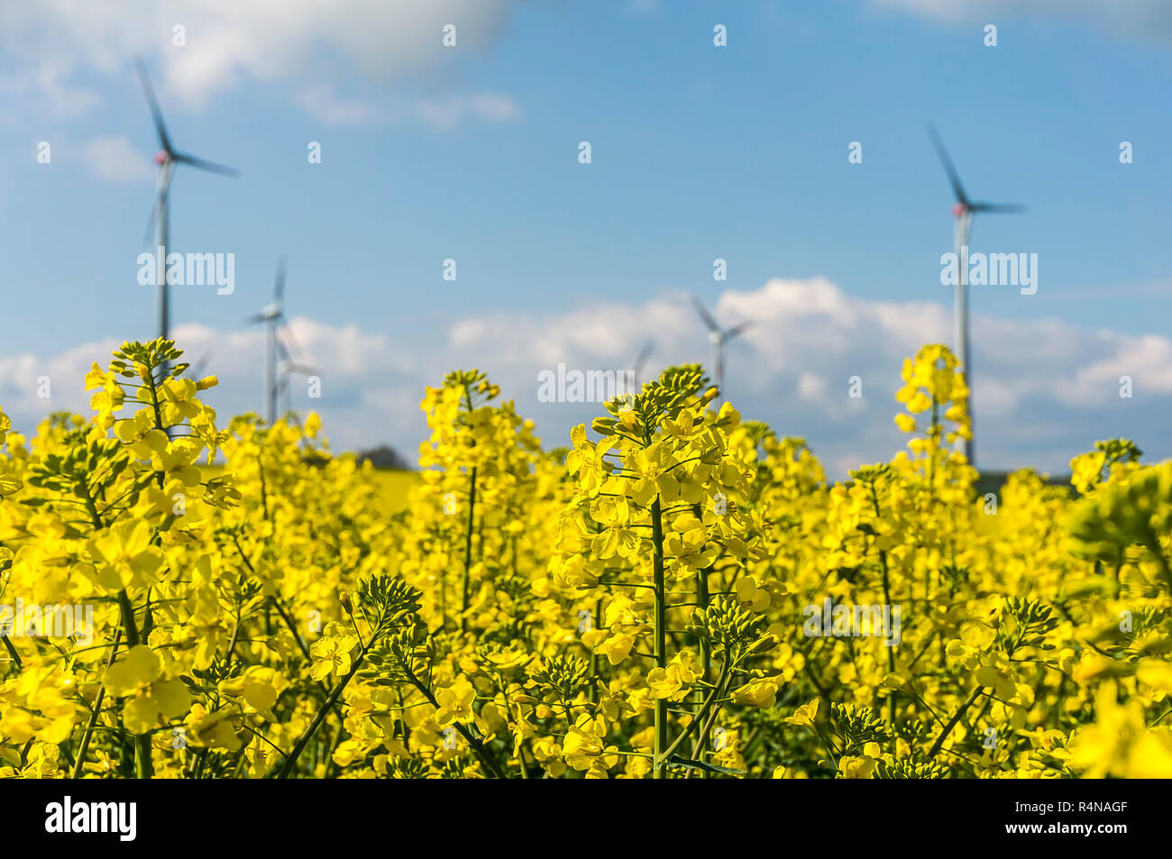 extraction of renewable energy Stock Photo - Alamy