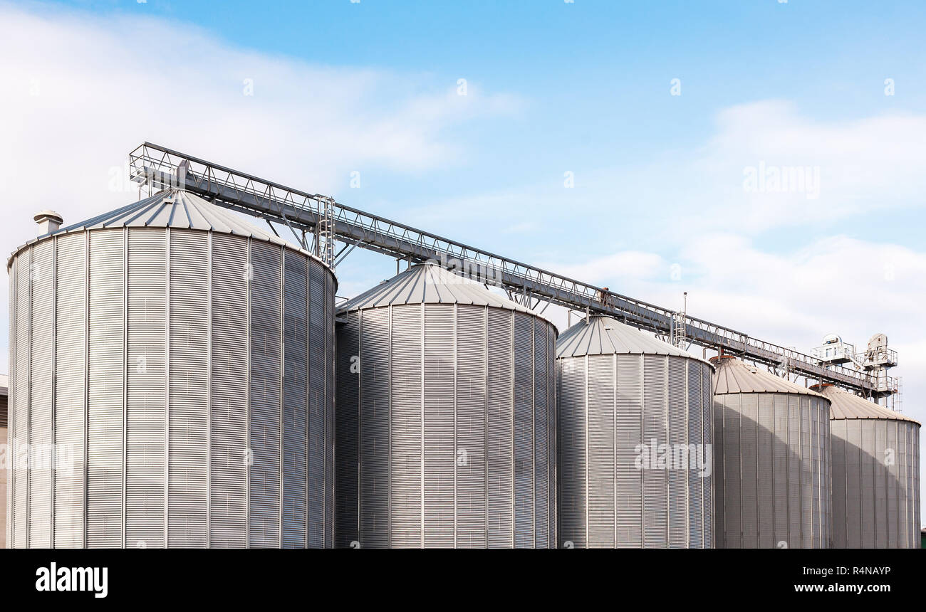 Agricultural silos on blue sky Stock Photo - Alamy