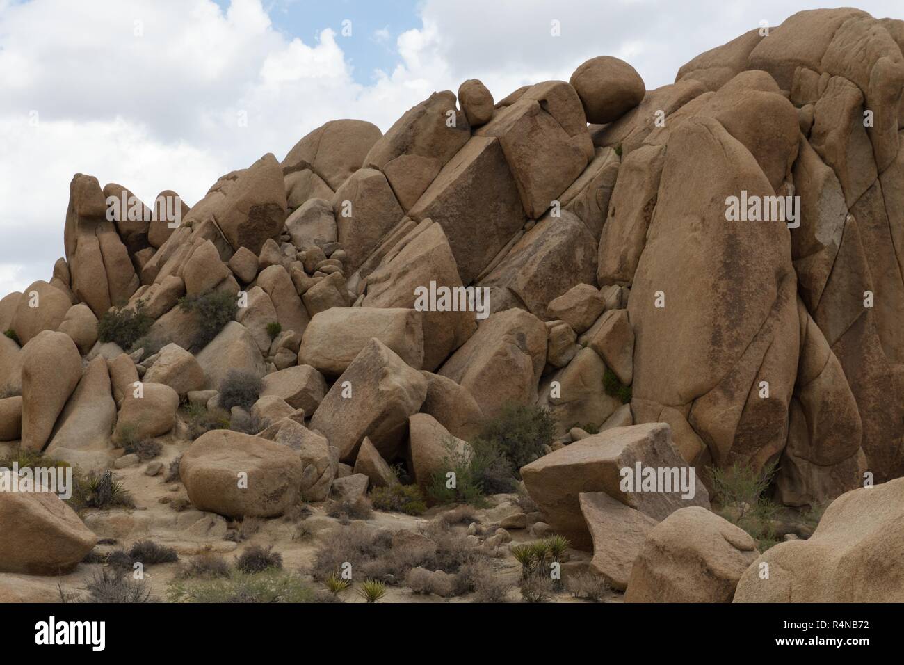 joshua tree np 31 Stock Photo