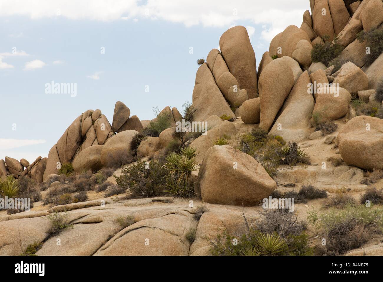 Jumbo Rocks Stock Photo