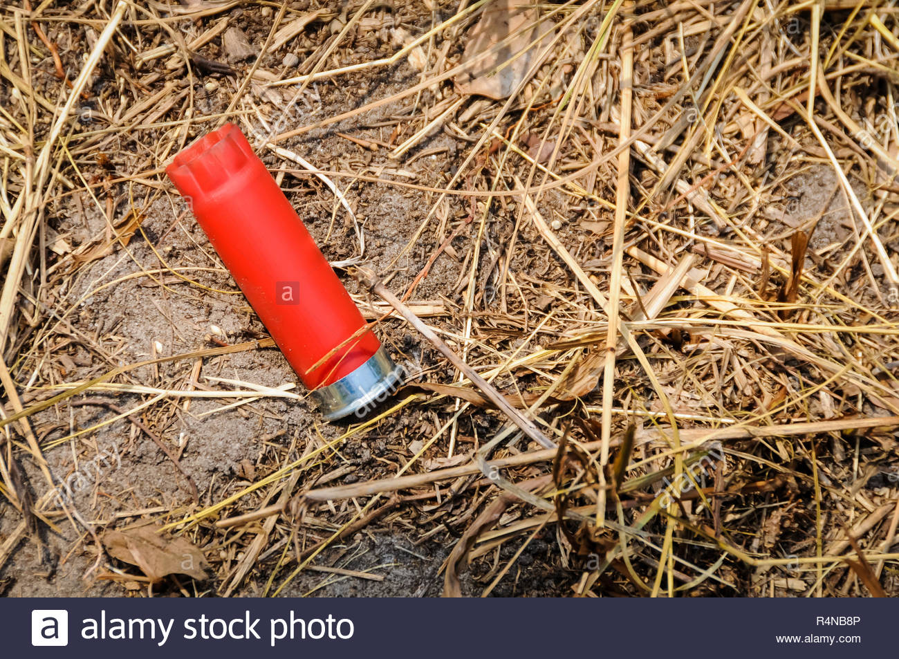 All Plastic Shotgun Cartridge High Resolution Stock Photography and