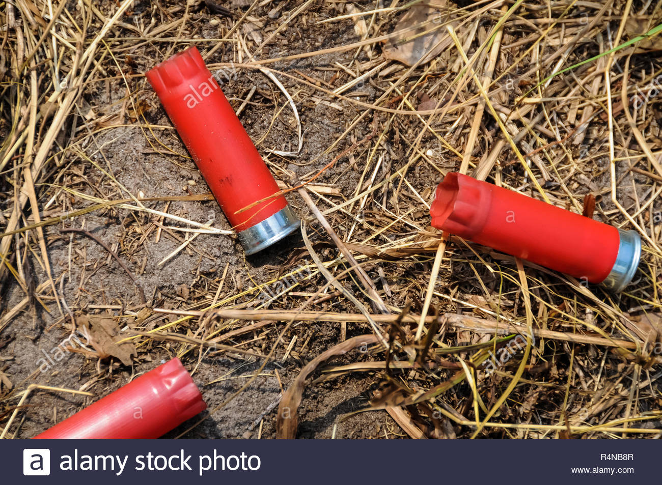 All Plastic Shotgun Cartridge High Resolution Stock Photography and