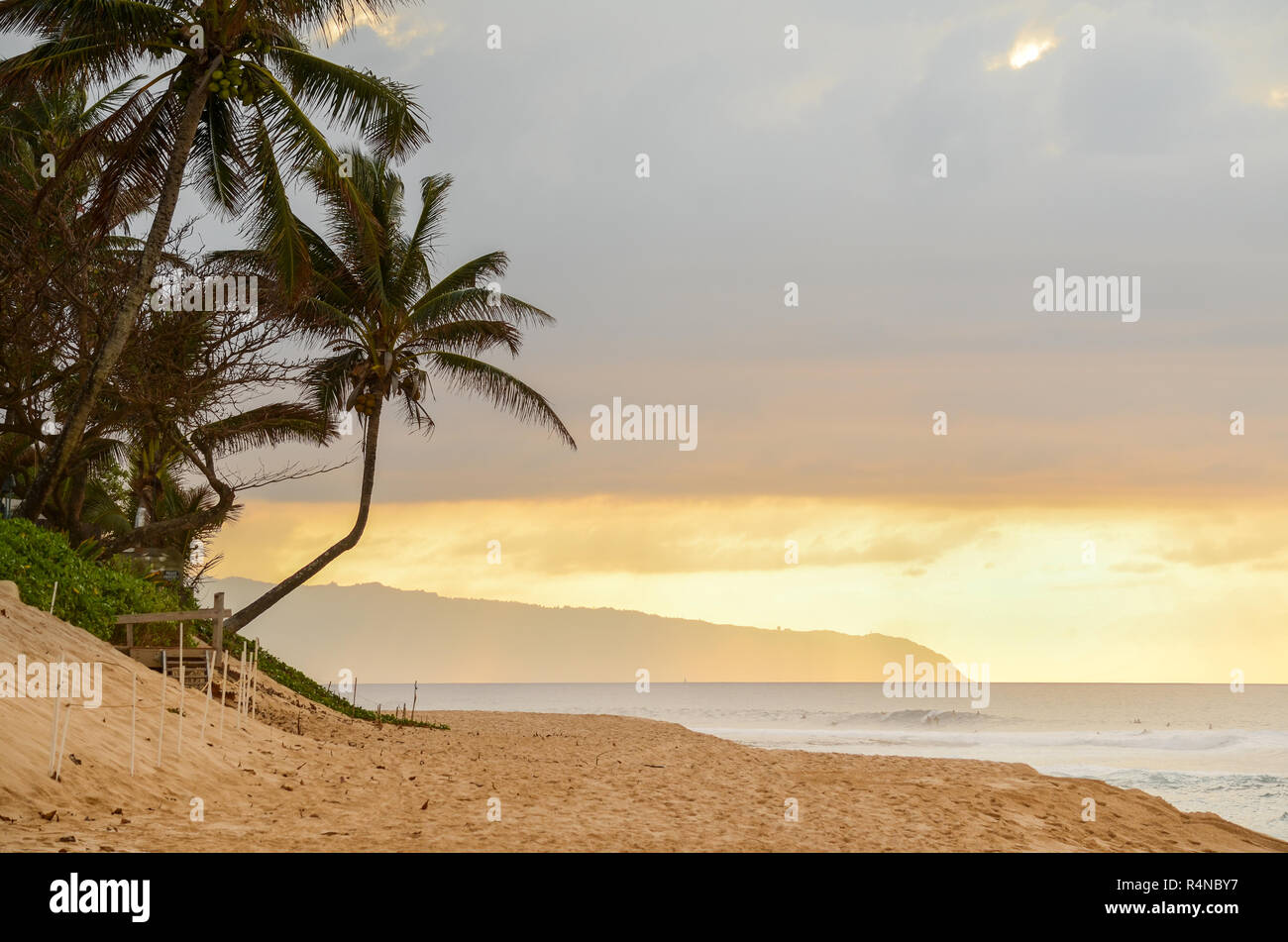 Sun setting over the crooked palm tree, beach and waves on Sunset Beach on the north shore of Oahu, Hawaii, USA Stock Photo