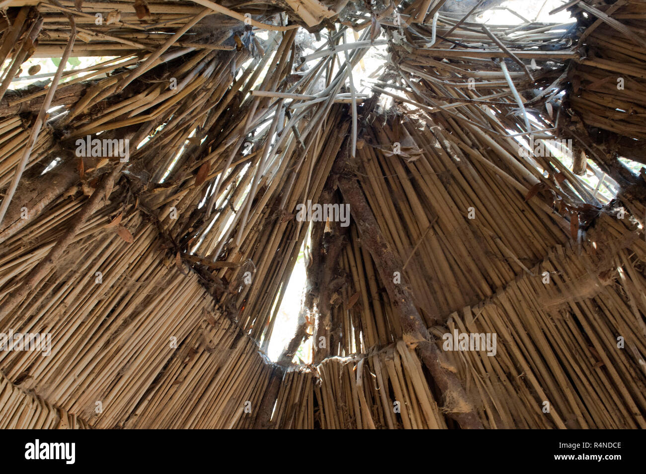 Interior roof and smoke-hole of a Chumash thatched dwelling, La Purisima Mission State Historic Park, California. Digital photograph Stock Photo