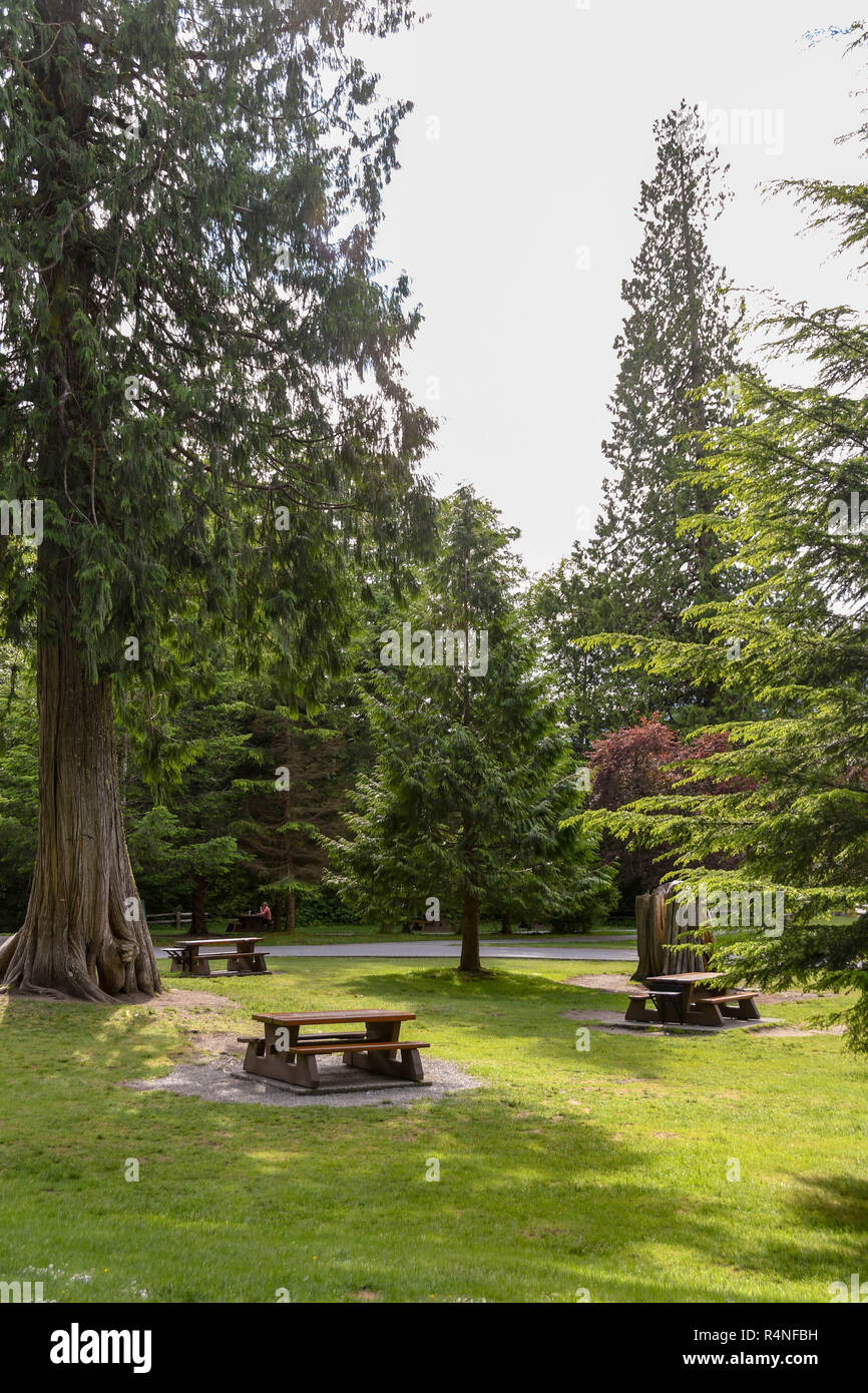 BRITISH COLUMBIA, CANADA - JUNE 2018: Scenic view of picnic benches in the Shannon Falls Provincial Park, a tourist attraction near Squamish, BC. Stock Photo