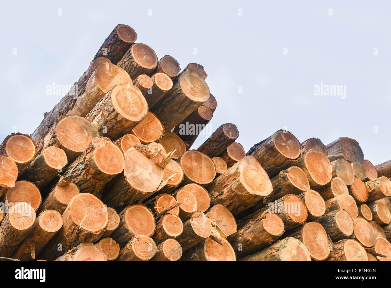 Stacked lumber lumber yard hi-res stock photography and images - Alamy