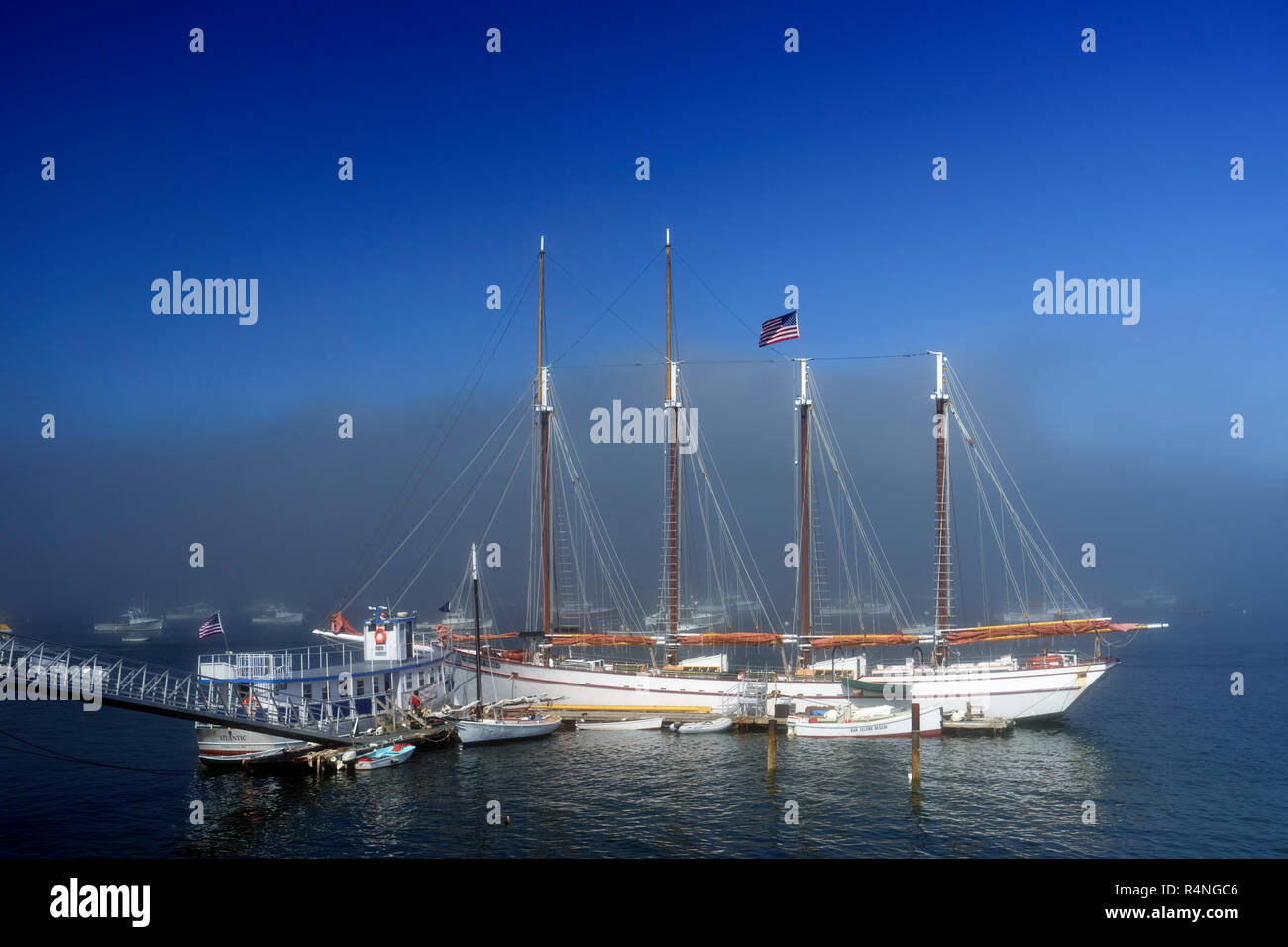 Four masted schooner 'Margaret Todd', anchored in Frenchman Bay, Bar Harbor, Maine, USA. Stock Photo