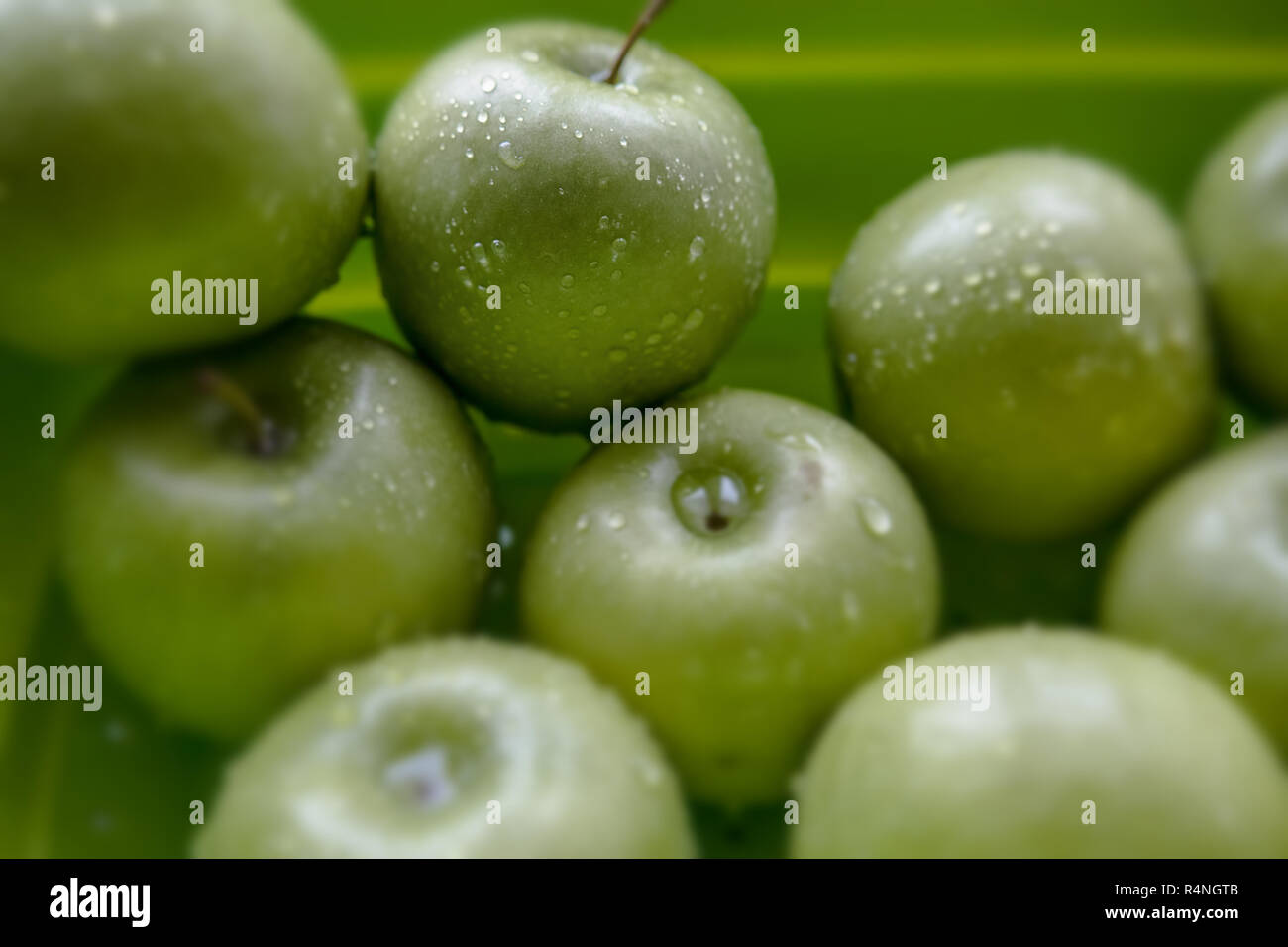 Green apples in a washing basket with water droplets on their skin. Stock Photo