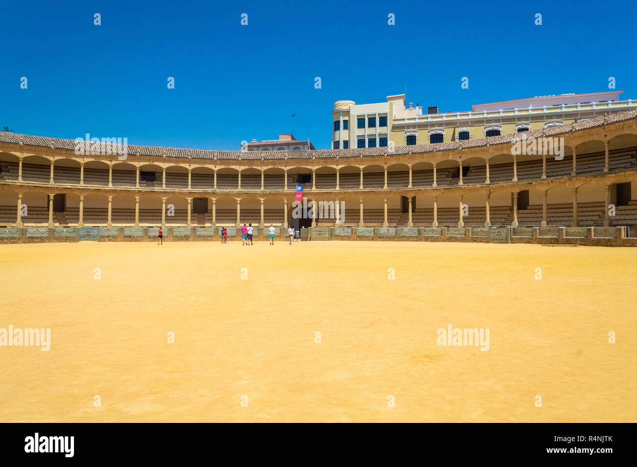 Iberian bulls hi-res stock photography and images - Alamy