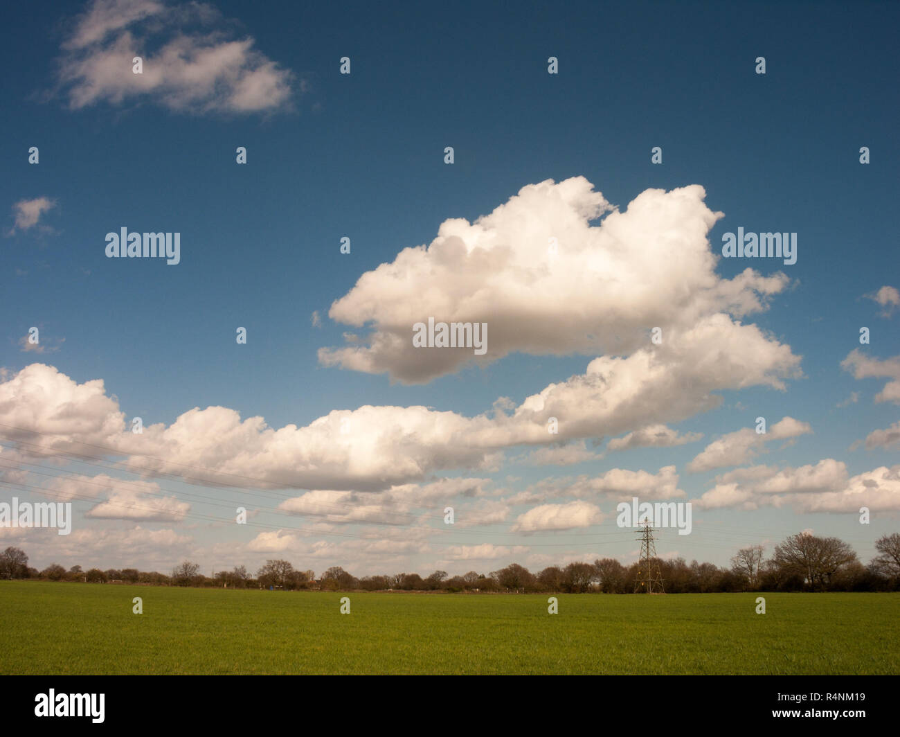 White Clouds in Blue skies Over Green Fields Stock Photo - Alamy