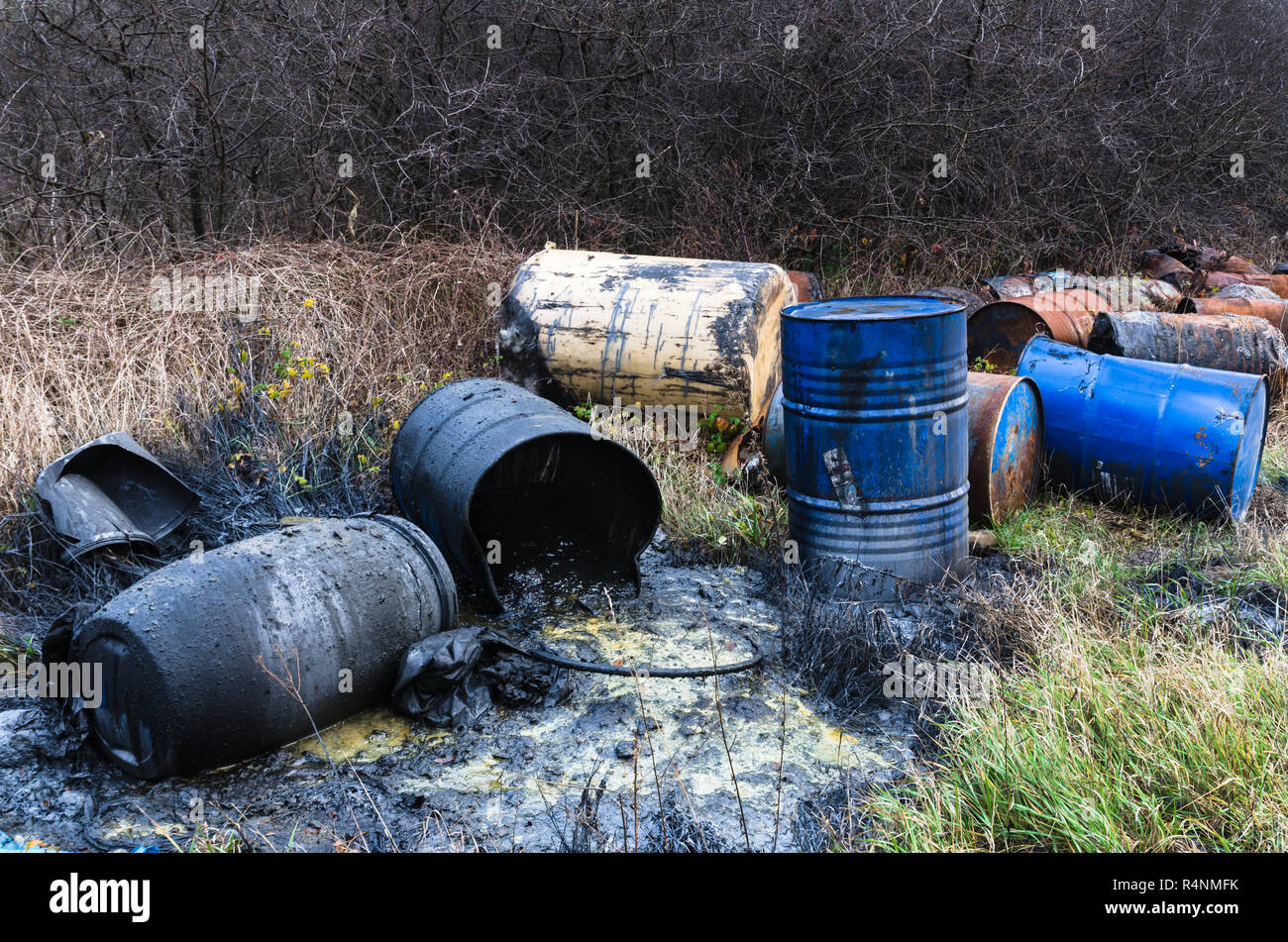 Barrels of toxic waste in nature, pollution of the environment Stock Photo