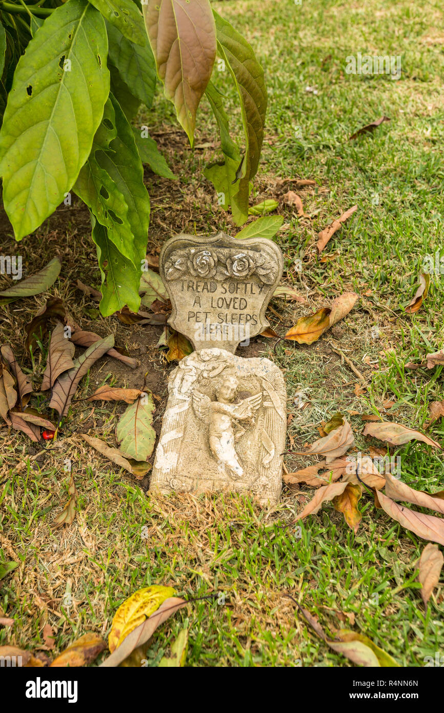 Grave marking pet buried backyard Stock Photo