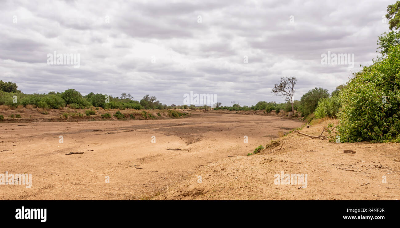 A dry riverbed in Limpopo, South Africa Stock Photo - Alamy