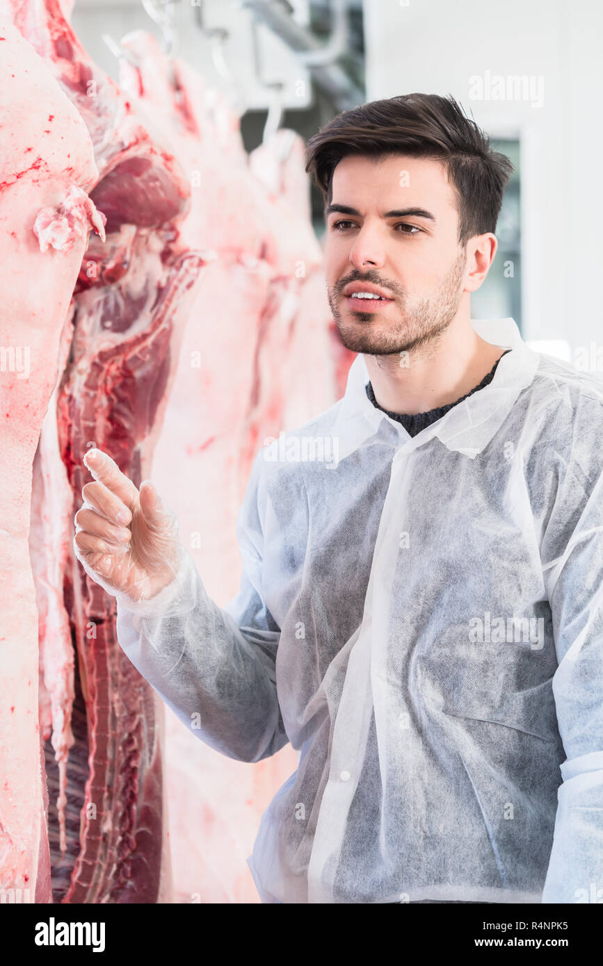 Meat inspector hires stock photography and images Alamy