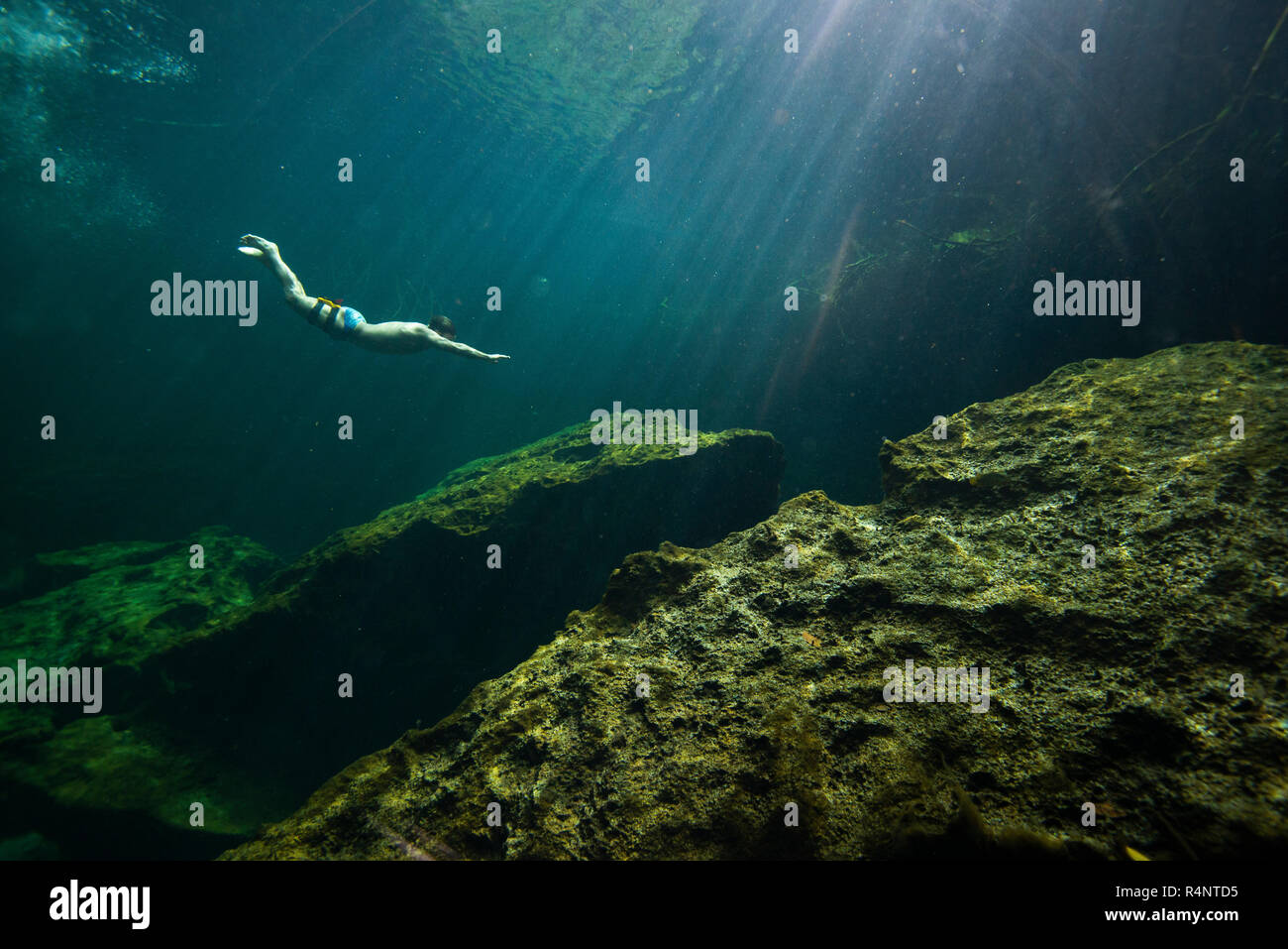 Distant view of single manÂ freedivingÂ inÂ cenoteÂ in Riviera Maya,Â QuintanaÂ Roo, Mexico Stock Photo