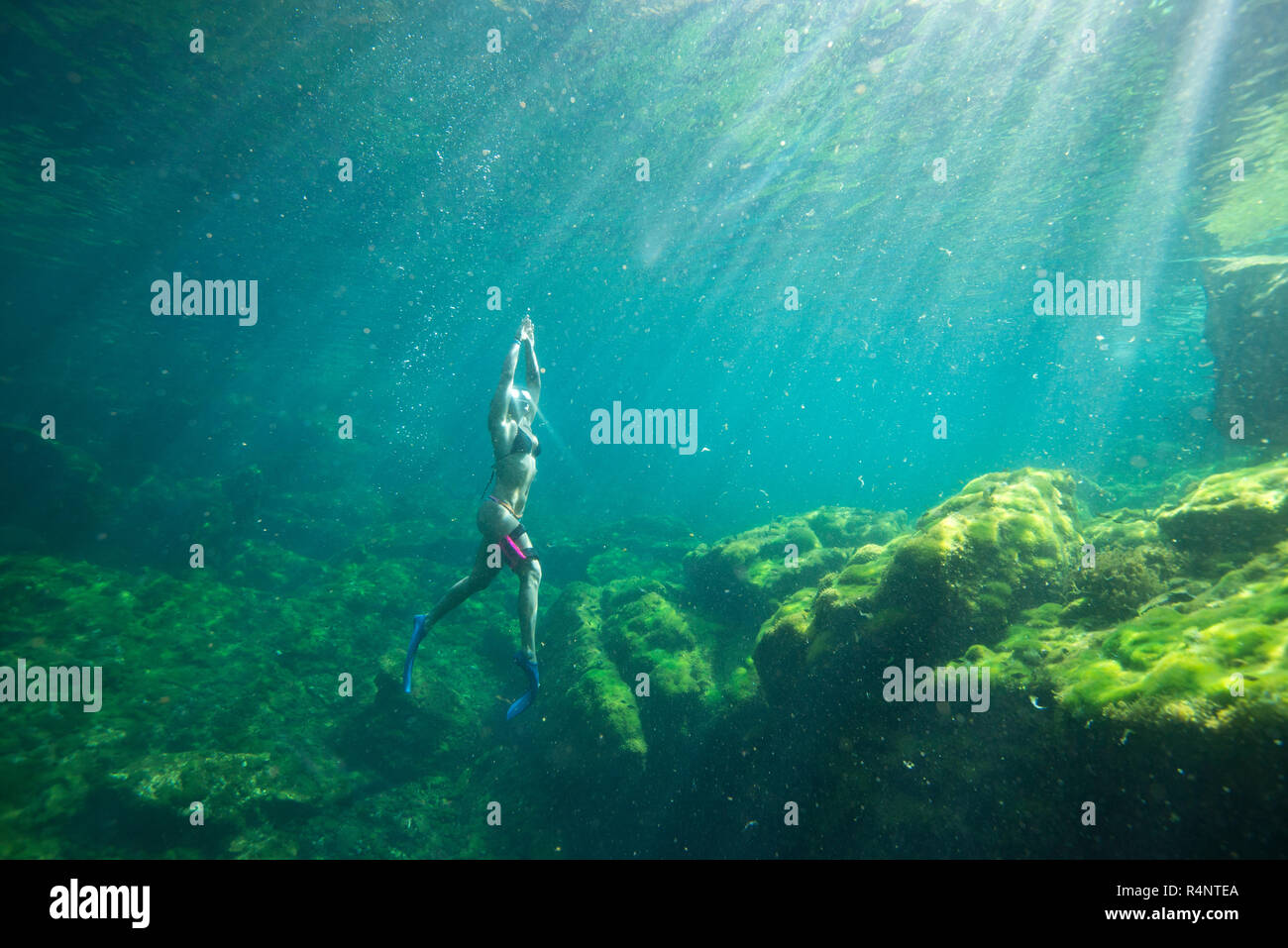 Underwater viewÂ of woman in bikini snorkeling,Â CenoteÂ el Eden, Riviera Maya,Â PlayaÂ delÂ Carmen,Â QuintanaÂ Roo,Â Mexico Stock Photo