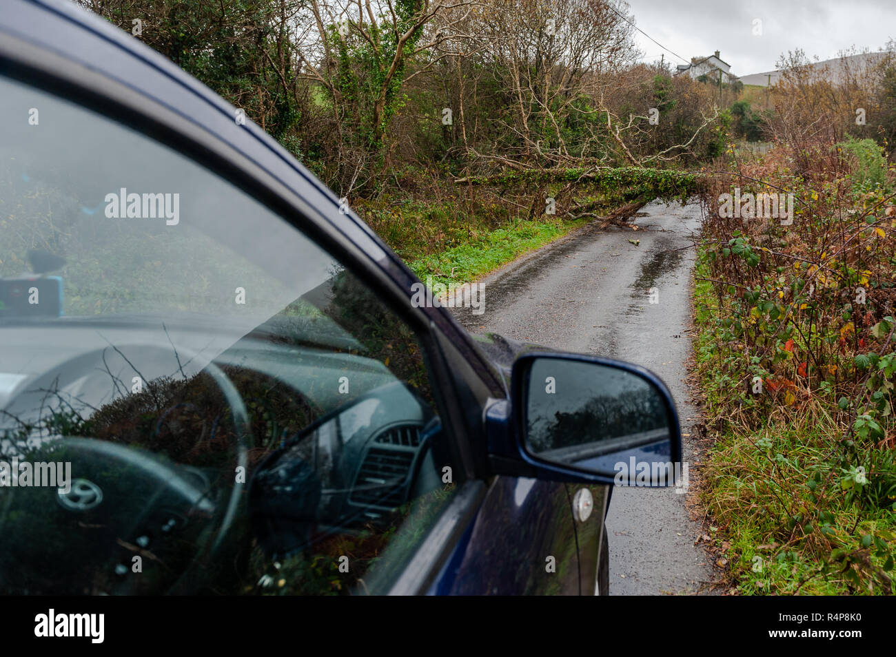 Durrus, West Cork, Ireland. 28th Nov, 2018. A fallen tree blocks the road just outside Durrus as Storm Diana continues to hit Ireland. Credit: Andy Gibson/Alamy Live News. Stock Photo