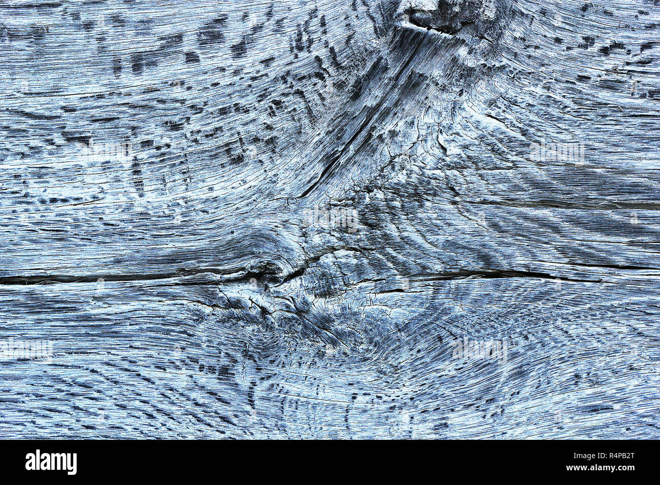 weathered surface of oak wooden plank, texture for your design; wood witn knots Stock Photo