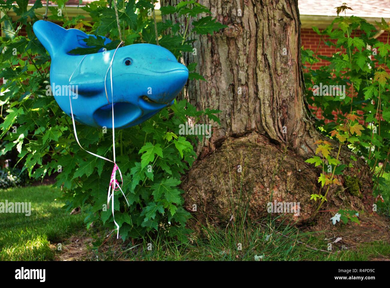 Abandoned dirty rundown dolphin kids swing in the front yard Stock Photo