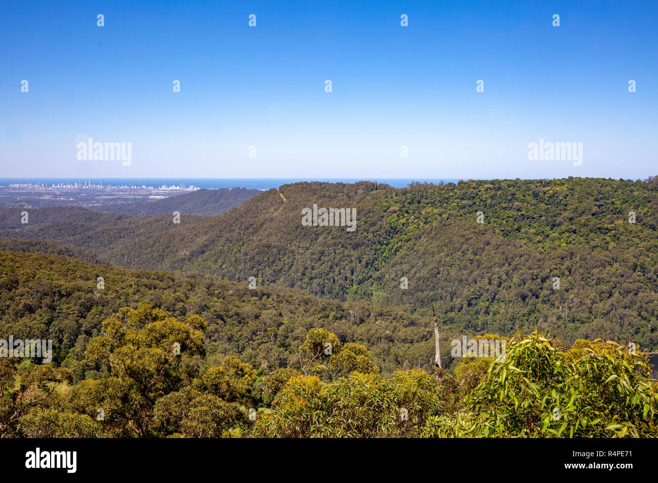 View of Springbrook national park in the Gold Coast hinterland and