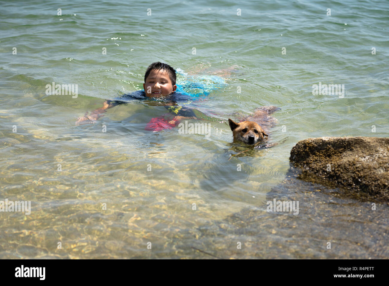 Swimming Shiba Inu and Kids in Sea Stock Photo Alamy