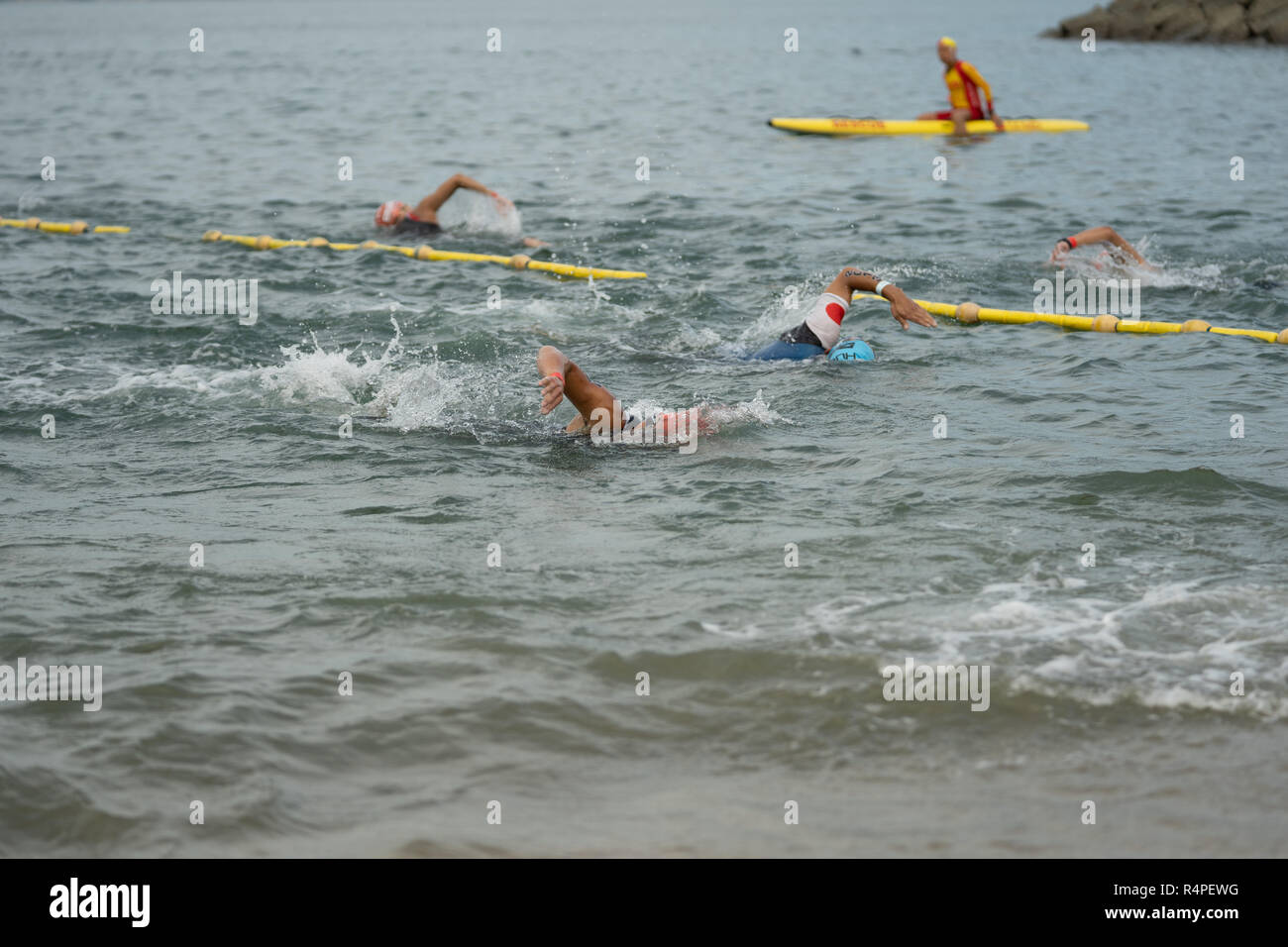 Swimming in Triathlons Stock Photo Alamy