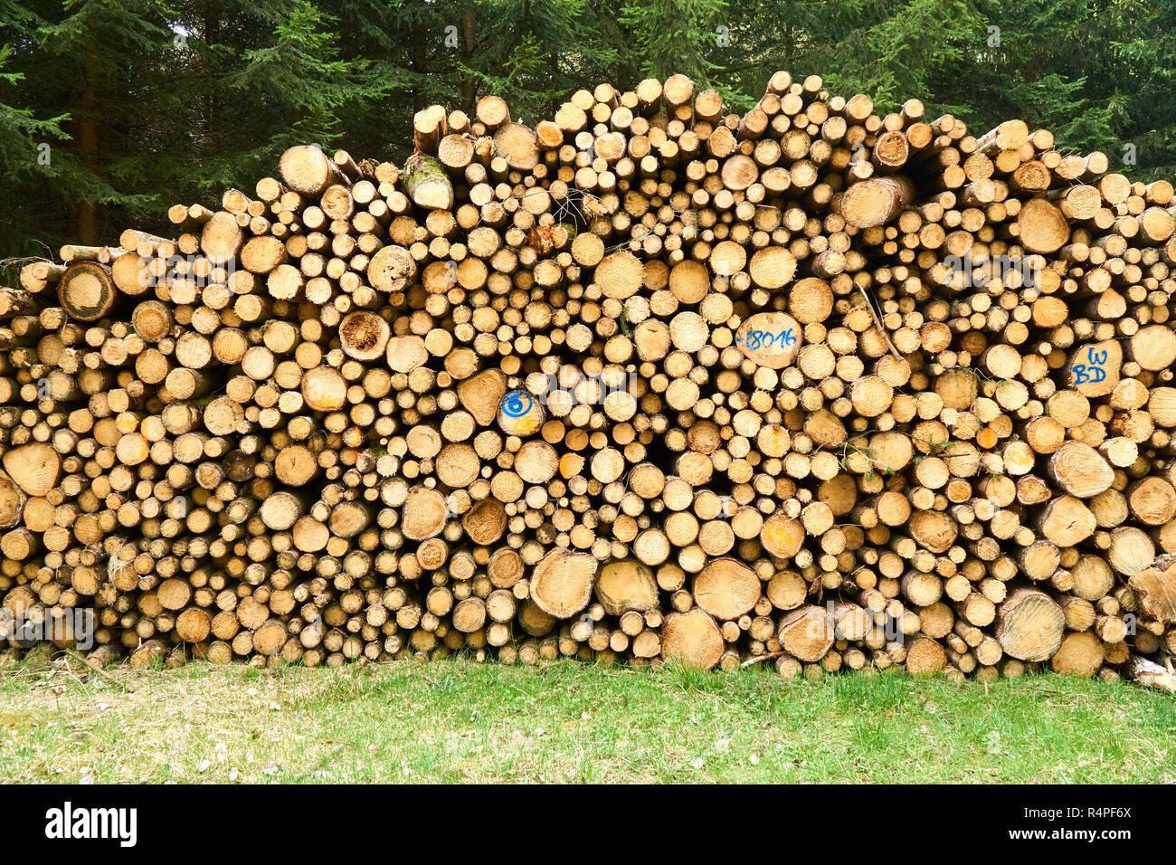 Pile marked tree logs hi-res stock photography and images - Alamy