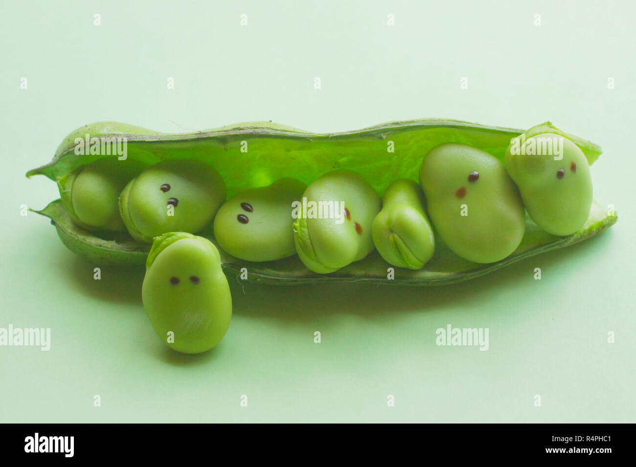 Bean family hires stock photography and images Alamy