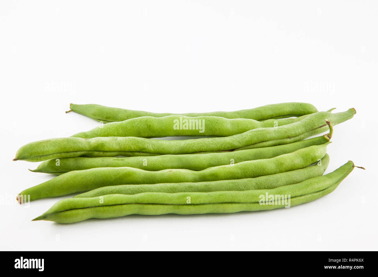 Green bean (Phaseolus vulgaris) Stock Photo