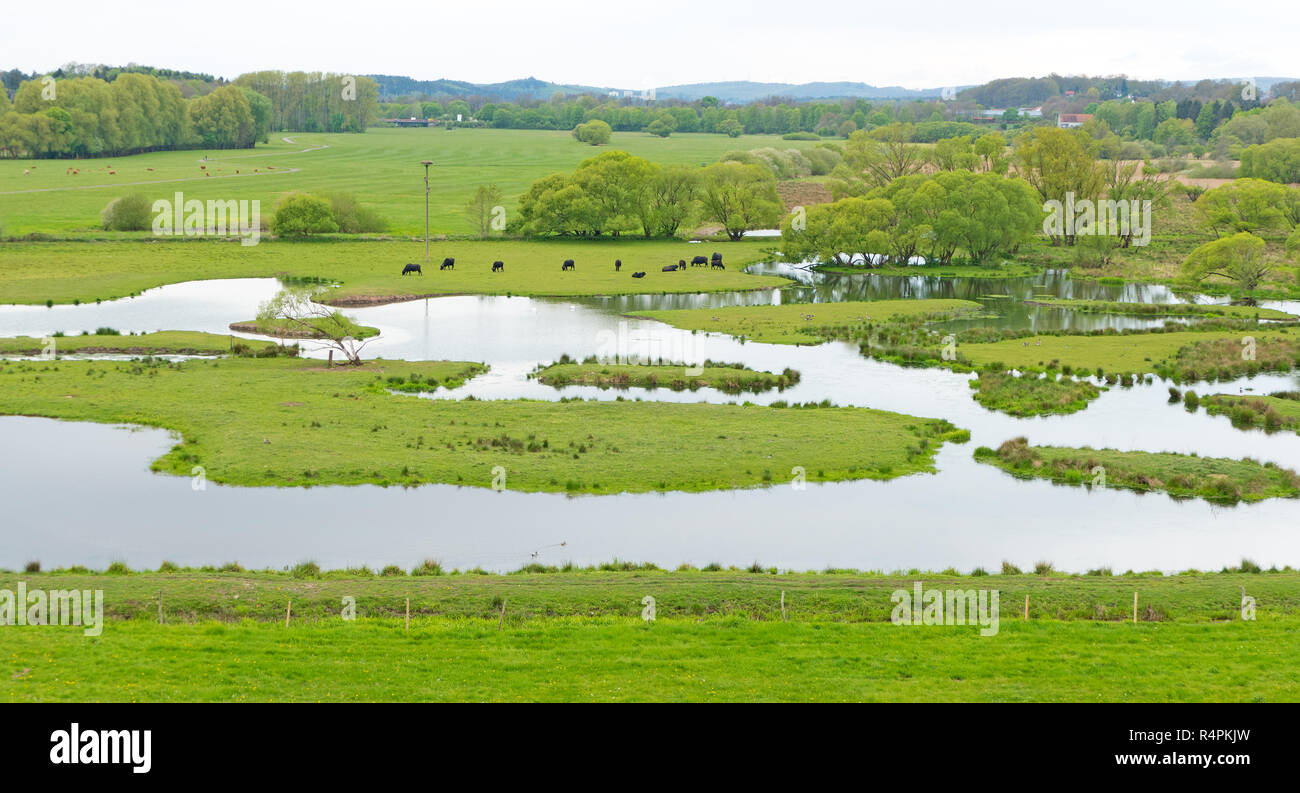 biotope beeden in saarland Stock Photo - Alamy