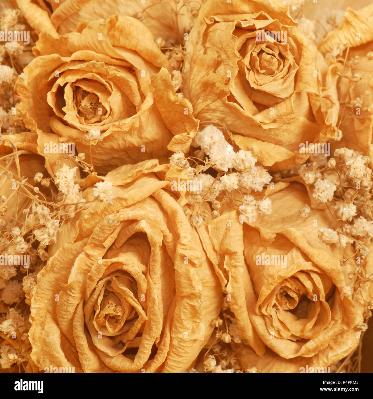 dried flower bouquet Stock Photo Alamy