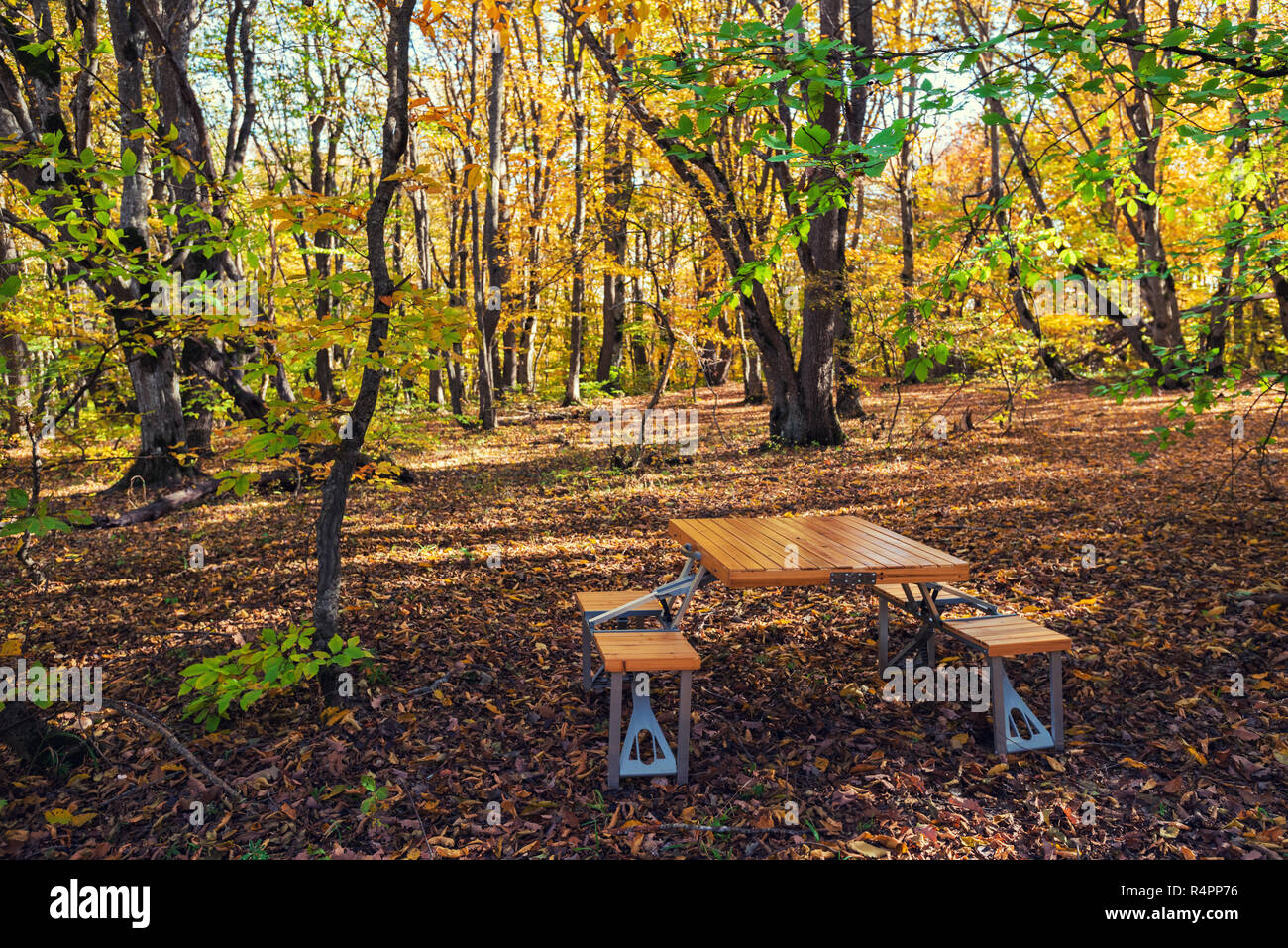 Folding picnic table in the autumn forest Stock Photo