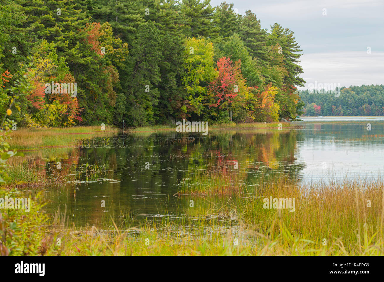 October foliage, around Lake Massabesic in Manchester NH. It's